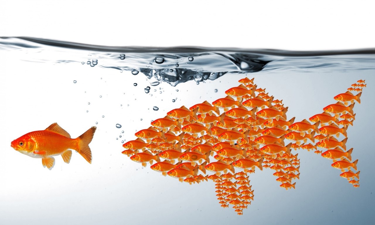 142-povedencheskie-faktory-v-seo-4.jpg 142-povedencheskie-faktory-v-seo-4.jpg